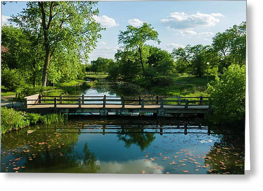 Chicago nature 2 - Greeting Card