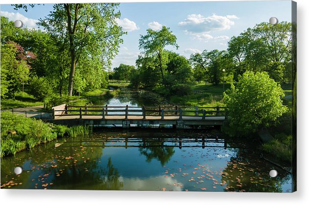 Chicago nature 2 - Acrylic Print