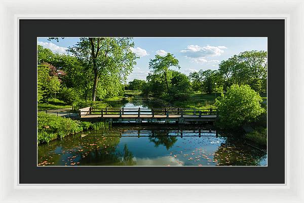 Chicago nature 2 - Framed Print