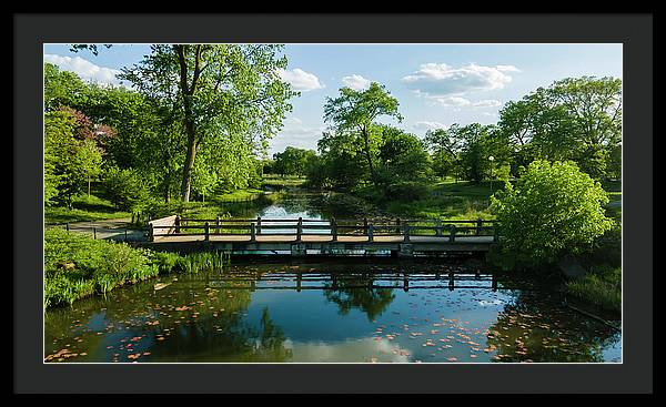 Chicago nature 2 - Framed Print