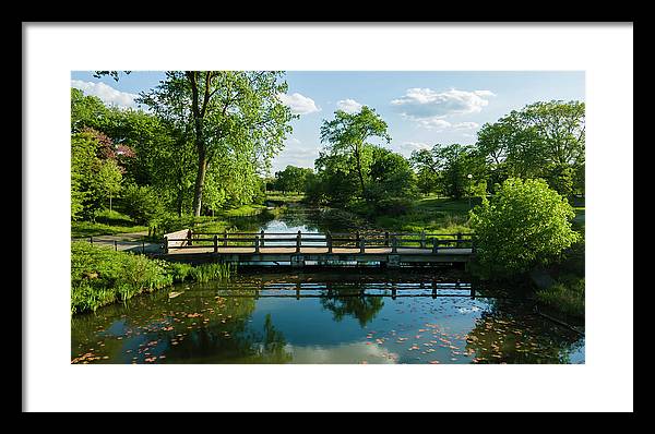 Chicago nature 2 - Framed Print