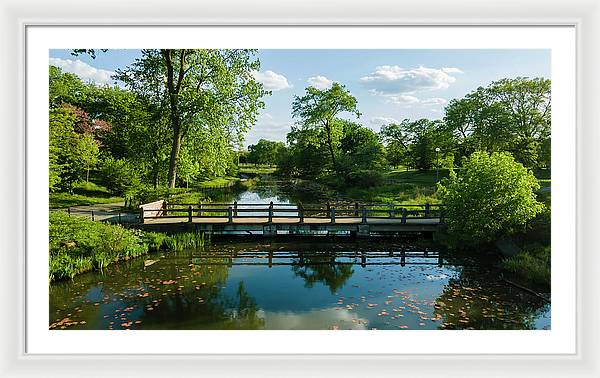 Chicago nature 2 - Framed Print