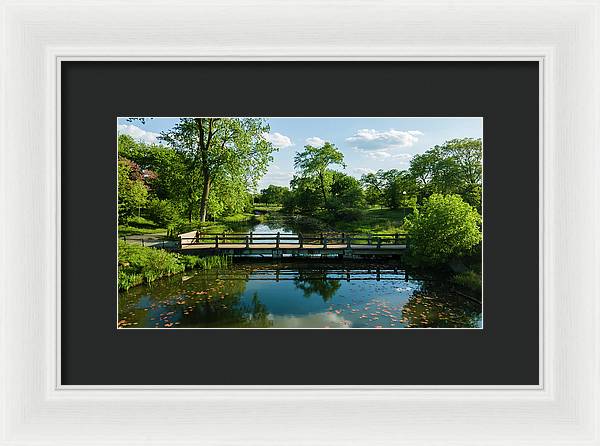 Chicago nature 2 - Framed Print