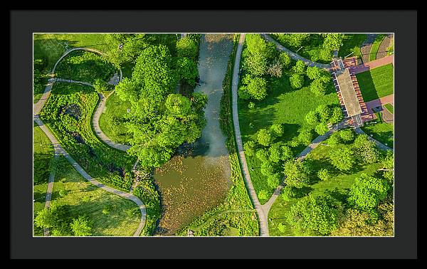 Chicago nature 3 - Framed Print