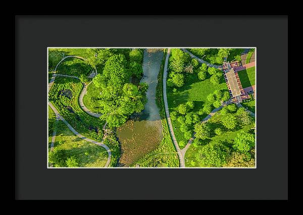 Chicago nature 3 - Framed Print