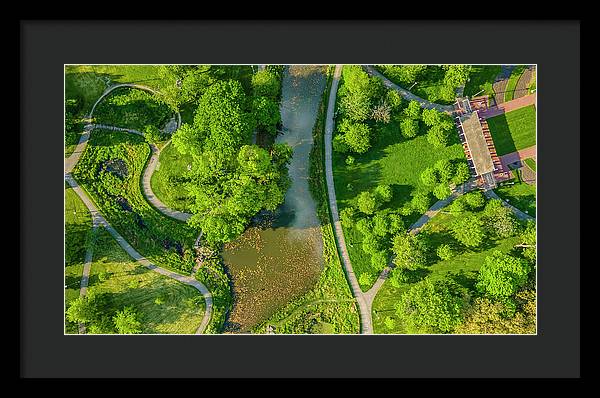 Chicago nature 3 - Framed Print