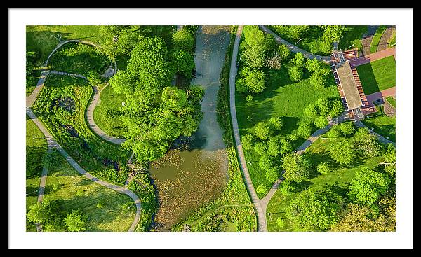 Chicago nature 3 - Framed Print