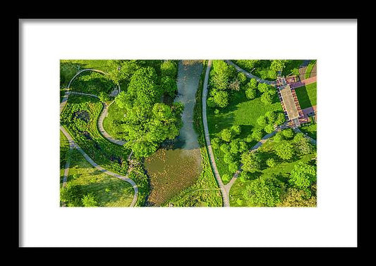 Chicago nature 3 - Framed Print