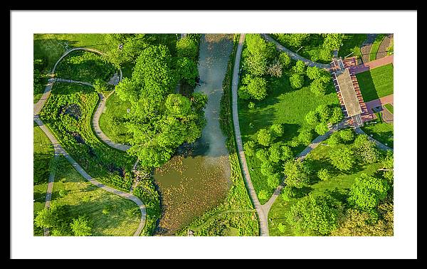 Chicago nature 3 - Framed Print