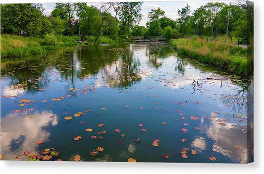 Chicago nature  - Canvas Print