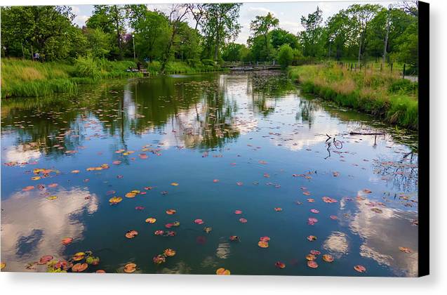 Chicago nature  - Canvas Print