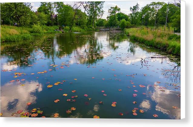 Chicago nature  - Canvas Print