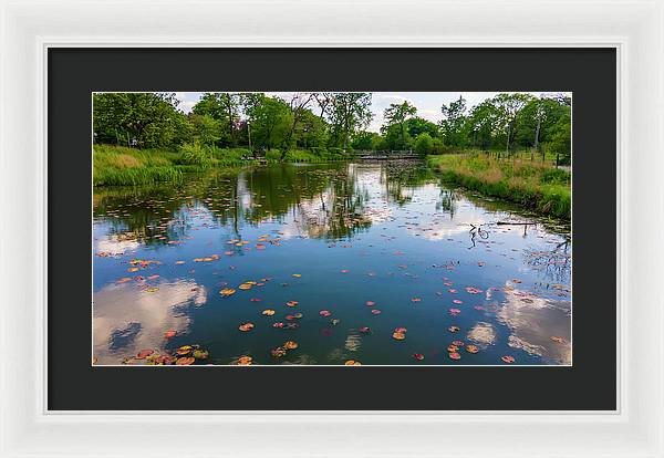 Chicago nature  - Framed Print