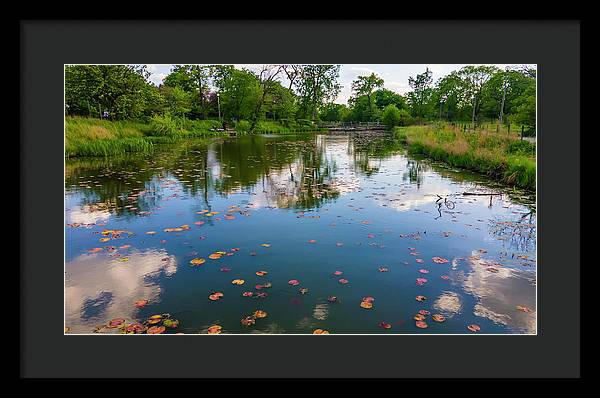 Chicago nature  - Framed Print