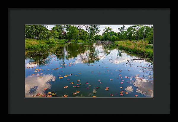 Chicago nature  - Framed Print