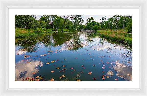 Chicago nature  - Framed Print