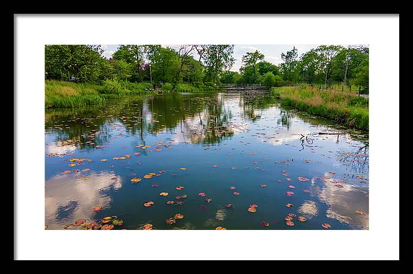 Chicago nature  - Framed Print