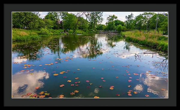 Chicago nature  - Framed Print