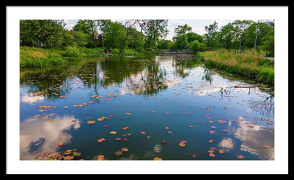 Chicago nature  - Framed Print