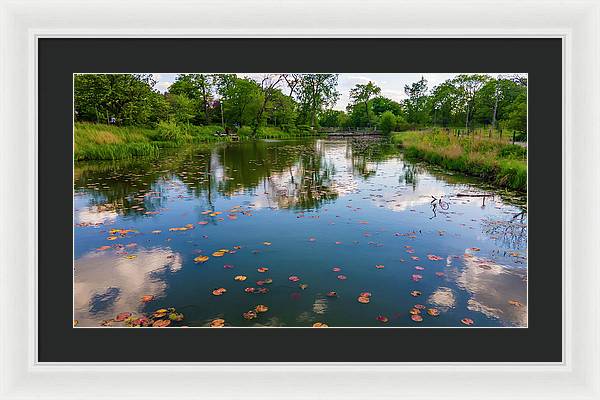 Chicago nature  - Framed Print