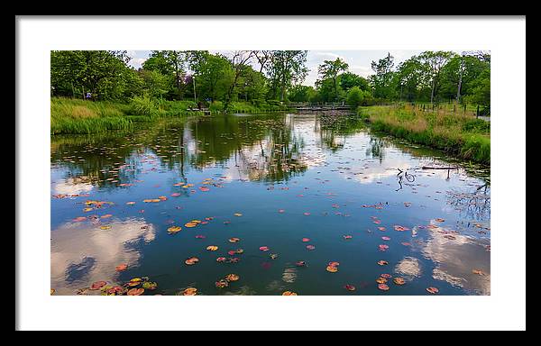 Chicago nature  - Framed Print