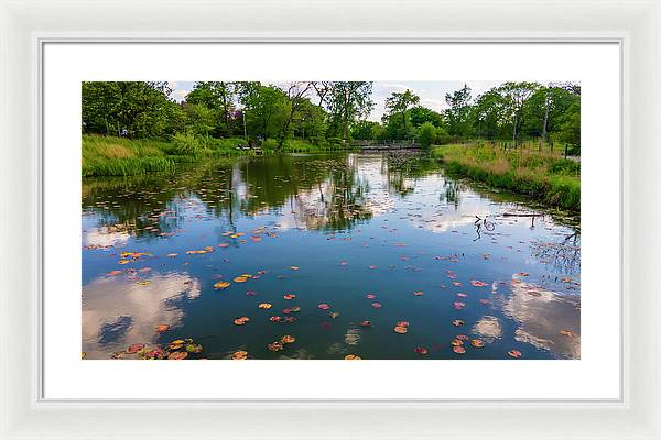 Chicago nature  - Framed Print