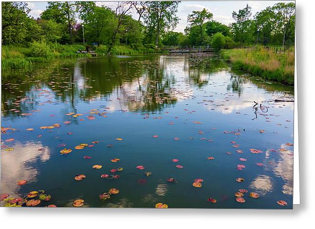 Chicago nature  - Greeting Card