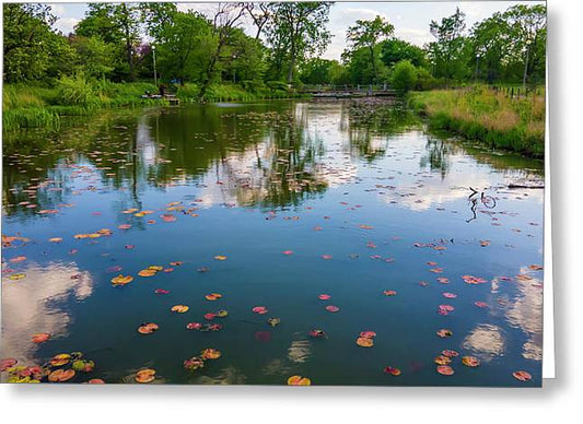 Chicago nature  - Greeting Card