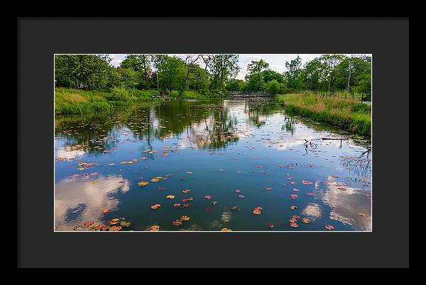 Chicago nature  - Framed Print