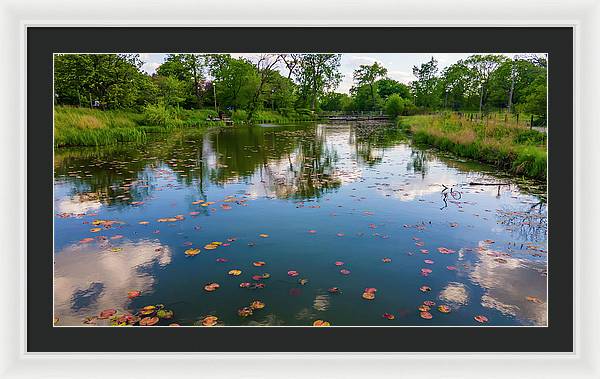 Chicago nature  - Framed Print