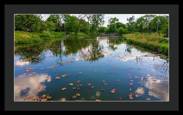 Chicago nature  - Framed Print