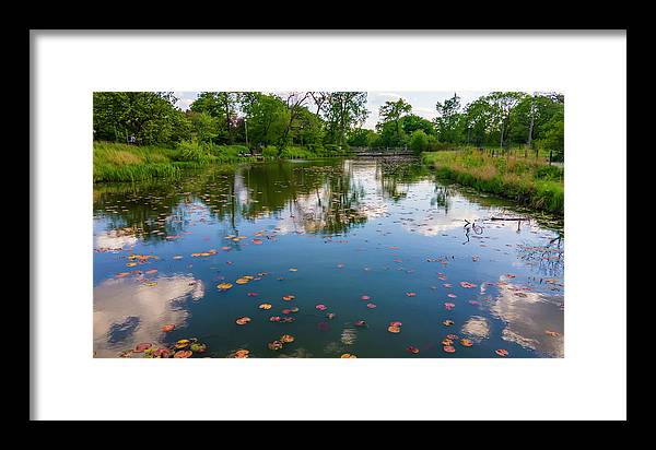 Chicago nature  - Framed Print