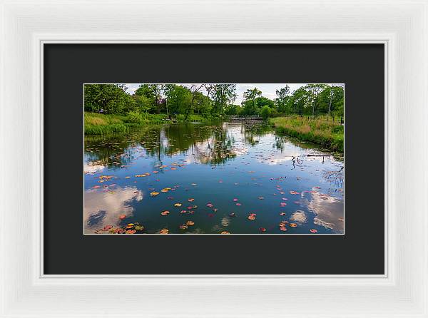 Chicago nature  - Framed Print