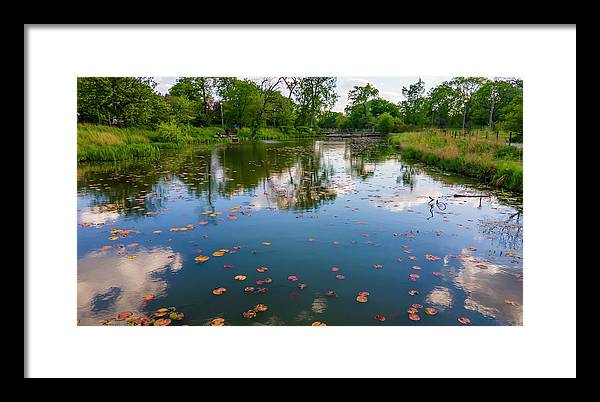 Chicago nature  - Framed Print