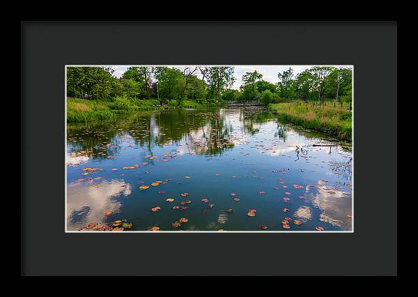 Chicago nature  - Framed Print