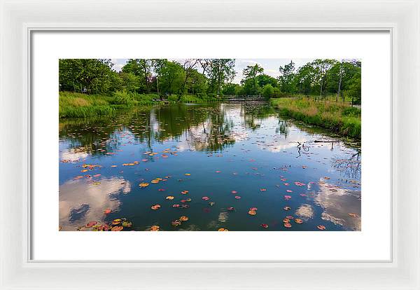 Chicago nature  - Framed Print