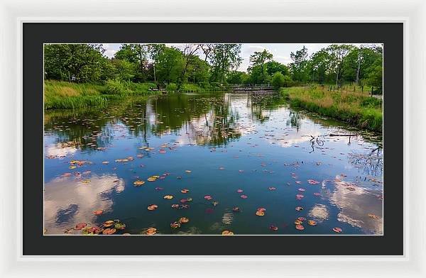 Chicago nature  - Framed Print