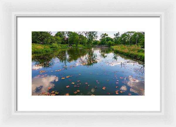 Chicago nature  - Framed Print