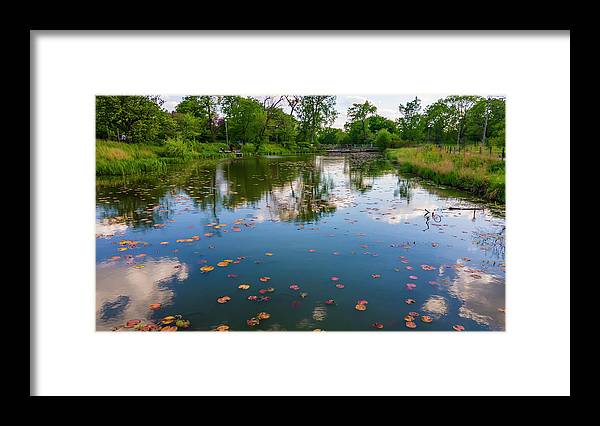 Chicago nature  - Framed Print