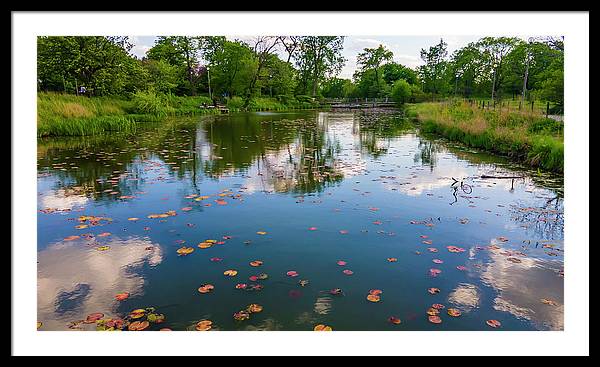 Chicago nature  - Framed Print