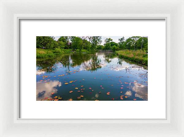 Chicago nature  - Framed Print