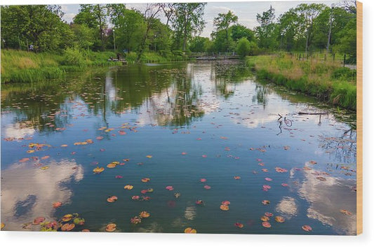 Chicago nature  - Wood Print