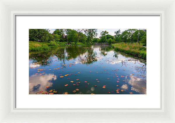 Chicago nature  - Framed Print