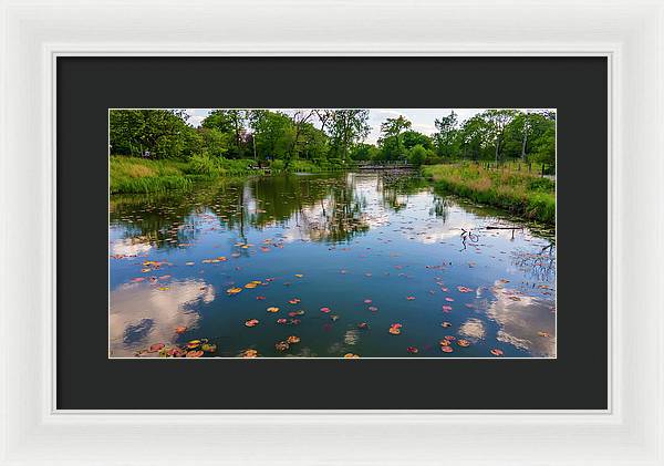 Chicago nature  - Framed Print