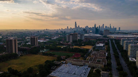 Chicago Skyline Summer - Art Print