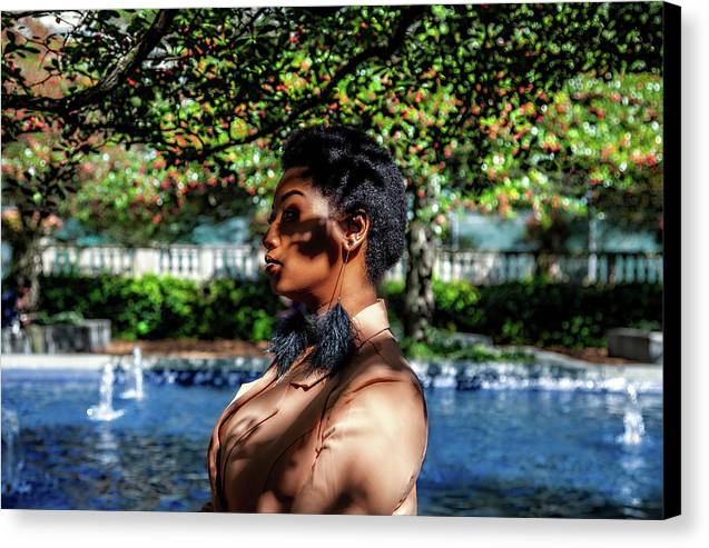 The Chicago Aesthetic  - Canvas Print