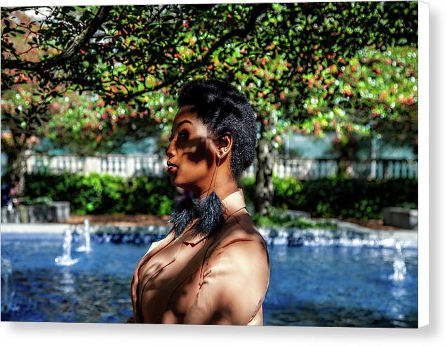 The Chicago Aesthetic  - Canvas Print