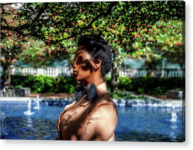 The Chicago Aesthetic  - Acrylic Print